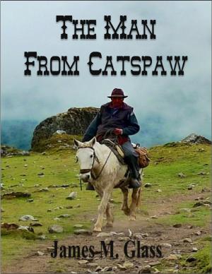 Book cover of The Man From Catspaw