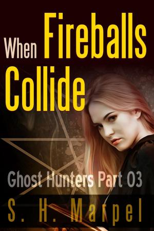 Cover of the book When Fireballs Collide by S. E. Lee