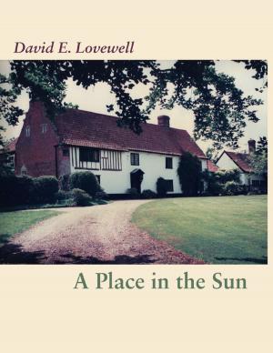 Cover of the book A Place In the Sun by Dennis van Westerborg