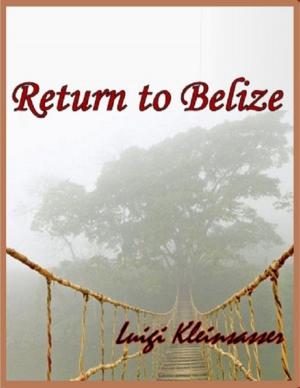 bigCover of the book Return to Belize by 