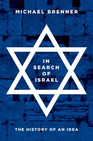 Cover of the book In Search of Israel by Robert Wokler