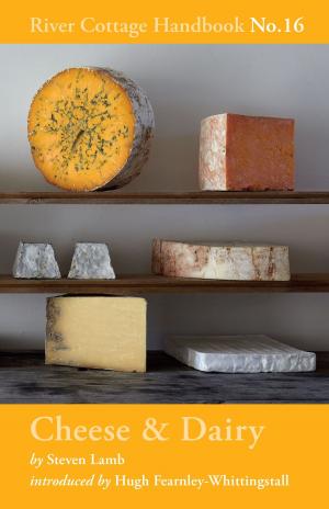 Cover of the book Cheese & Dairy by Anthony J Bryant