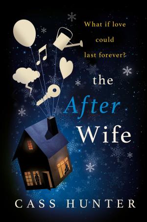 bigCover of the book The After Wife by 