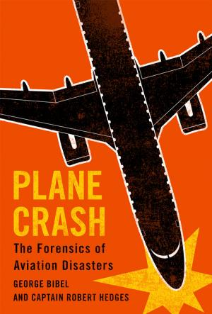 Cover of the book Plane Crash by Linda Farber Post, Jeffrey Blustein