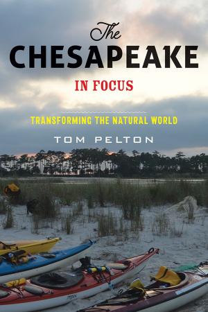 Cover of the book The Chesapeake in Focus by Karen Kruse Thomas