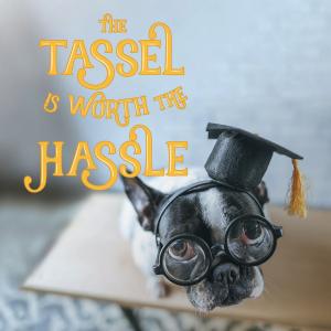 Cover of the book The The Tassel Is Worth the Hassle by John Peterson