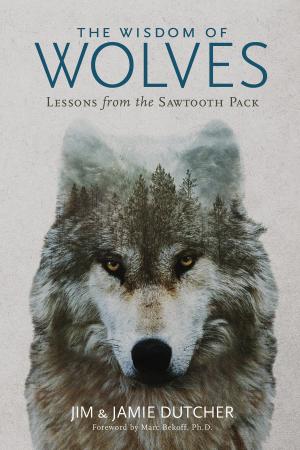 Cover of the book The Wisdom of Wolves by National Geographic