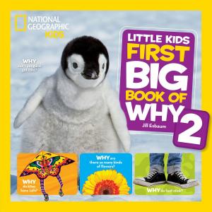 Cover of National Geographic Little Kids First Big Book of Why 2