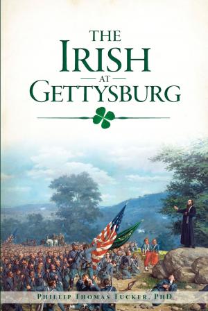 Book cover of The Irish at Gettysburg