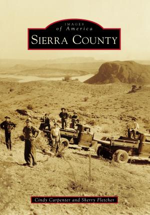 Cover of the book Sierra County by Ross Schipper, Dwane Starlin