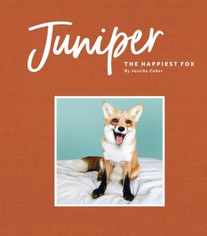 Cover of the book Juniper: The Happiest Fox by Lorena Siminovich