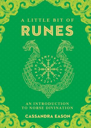 Cover of the book A Little Bit of Runes by Jon Mundy, PhD