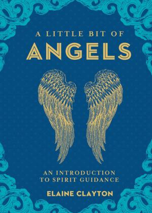 Cover of the book A Little Bit of Angels by James-Charles Noonan Jr.