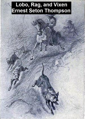 Cover of the book Lobo, Rag, and Vixen by Estelle M. Hurll