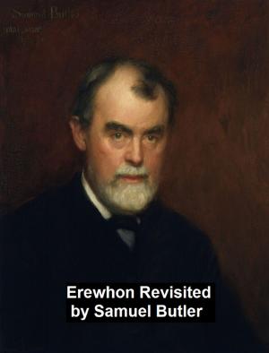 Cover of the book Erewhon Revisited by George Gissing