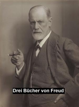 Cover of the book Drei Bücher by Archer Butler Hulbert