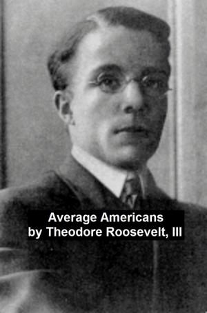 Book cover of Average Americans