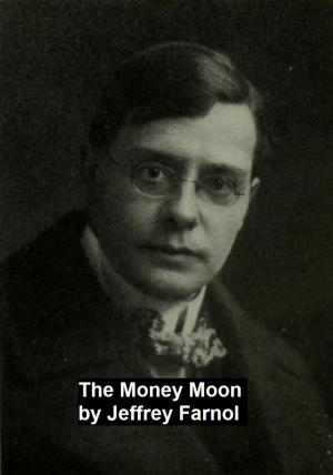 Cover of the book The Money Moon by Hamlin Garland
