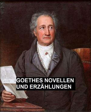 Cover of Goethes Novellen Und Erzählungen