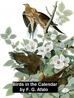 Cover of the book Birds in the Calendar by Bret Harte