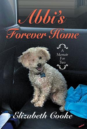 Cover of the book Abbi’S Forever Home by Elizabeth Cooke