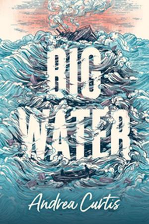 Cover of the book Big Water by Nancy Belgue