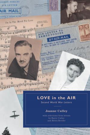 bigCover of the book Love in the Air by 