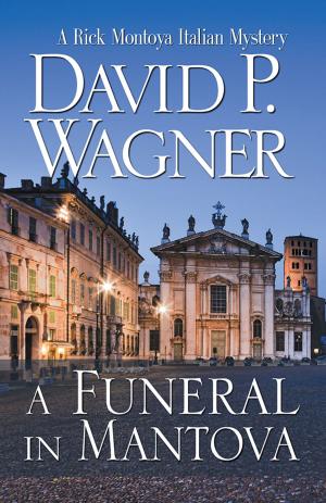Cover of the book A Funeral in Mantova by 
