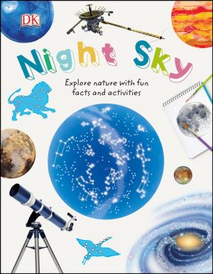 Cover of the book Night Sky by Jeroen Verhoog