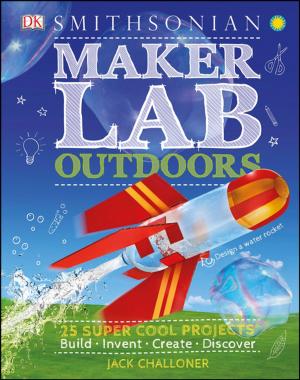 Cover of the book Maker Lab: Outdoors by 河馬, 流星