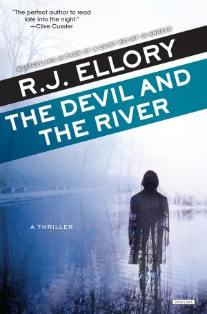 Cover of the book The Devil and the River by PJ Gordon