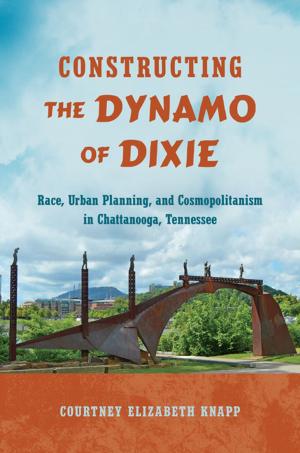 Cover of the book Constructing the Dynamo of Dixie by James Smethurst