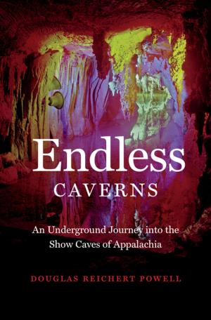 Book cover of Endless Caverns