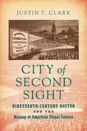 Book cover of City of Second Sight