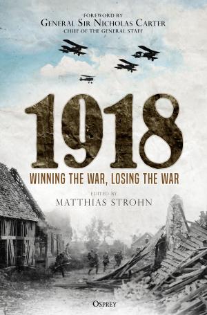 Book cover of 1918
