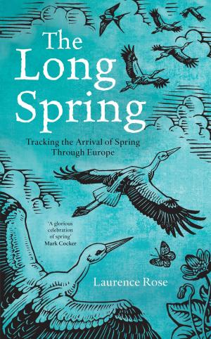 Cover of the book The Long Spring by Peter E. Davies