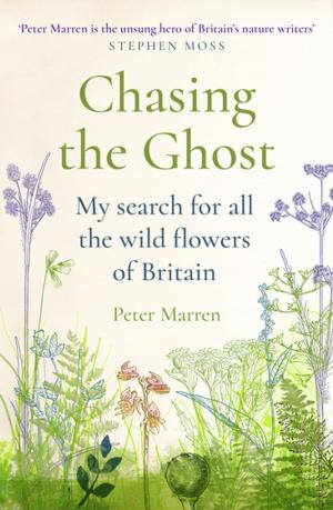 Book cover of Chasing the Ghost