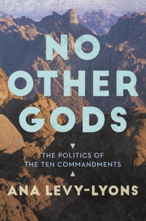 Cover of the book No Other Gods by Ted Dekker