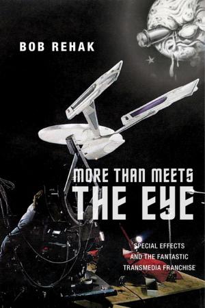Cover of the book More Than Meets the Eye by Mark Goodale