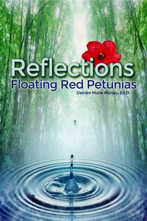 Cover of the book Reflections by Paul Brink