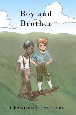 Book cover of Boy and Brother