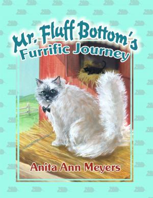 Cover of the book Mr. Fluff Bottom's Furrific Journey by Irene Berman, Illustrated by Patricia Bergmen