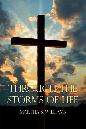 bigCover of the book Through the Storms of Life by 