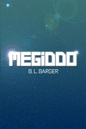 Cover of the book Megiddo by Robert E. Barr