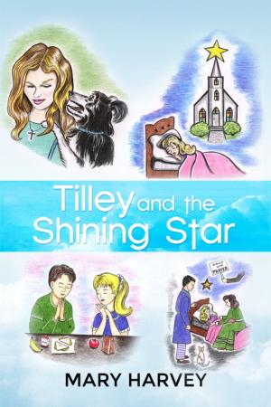 Cover of the book Tilley and the Shining Star by A. R. Weaver