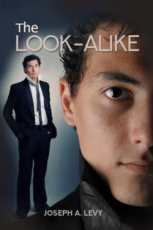 Book cover of The Look-Alike