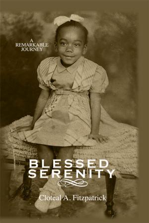 Cover of the book Blessed Serenity by Rev. Dr. Kenneth J Harrell Sr.