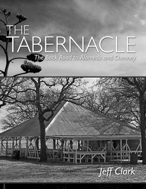 Cover of the book The Tabernacle by Bruce C. Steffens