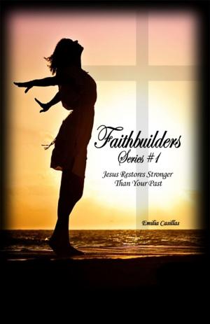 Book cover of Faithbuilders Series #1