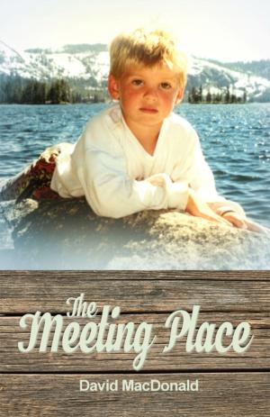 Cover of the book The Meeting Place by Brandon Domineck